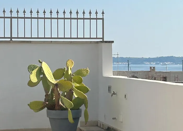 Palazzo Angelelli Bed & Breakfast